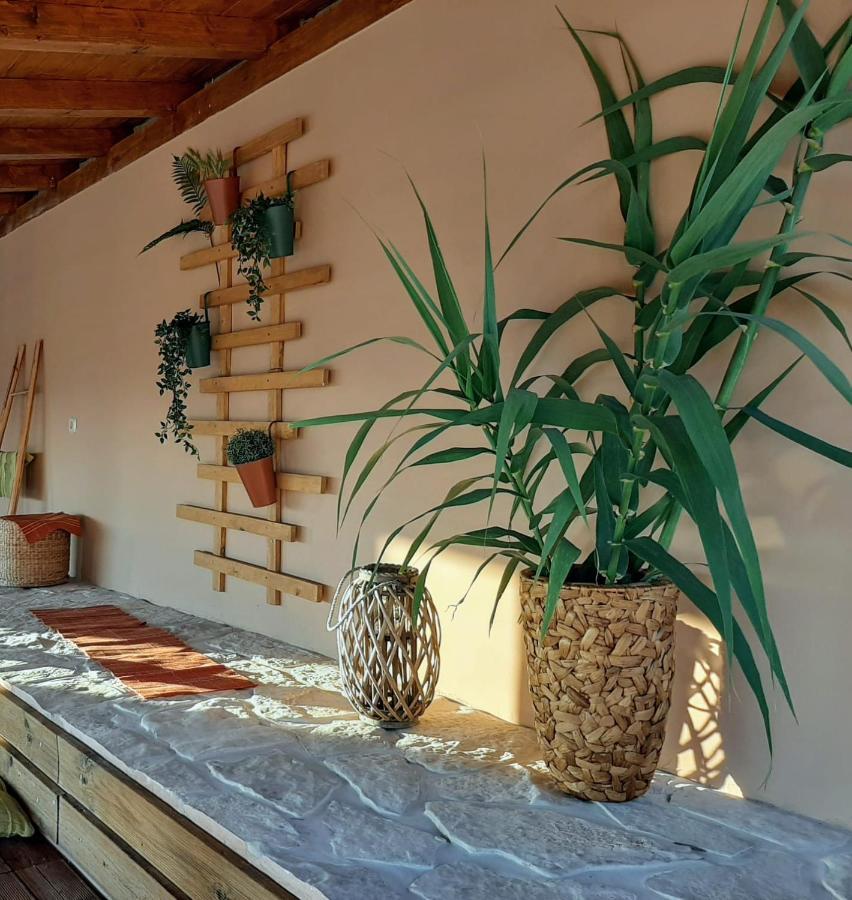 Holiday House Barba - Vrana 파코스탄 외부 사진
